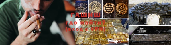 шишки Пестово