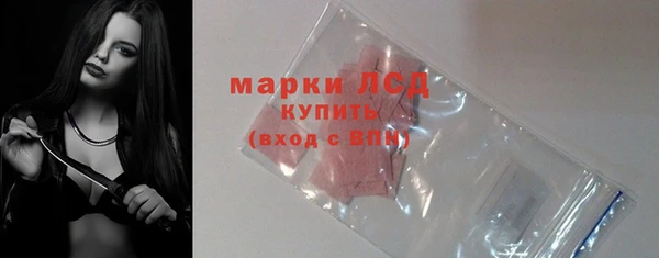 стафф Алзамай