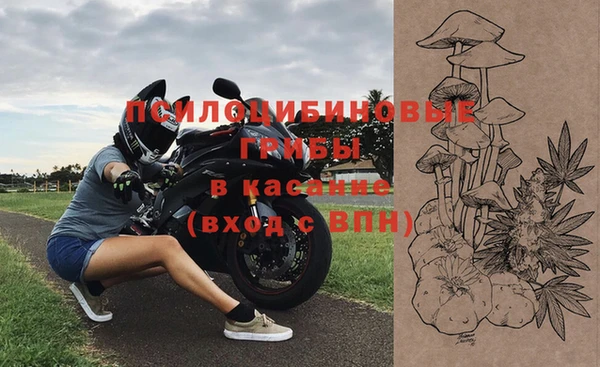 дмт Аркадак