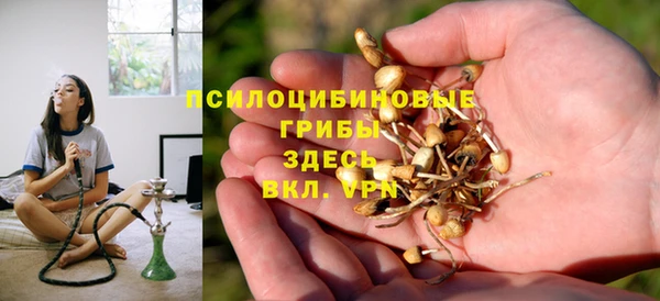 СК Пересвет
