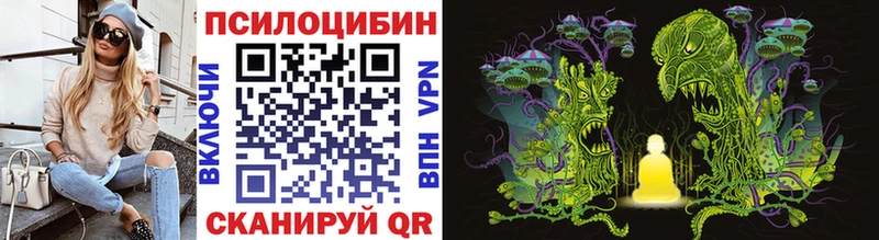 Галлюциногенные грибы GOLDEN TEACHER  Купить где  Асино 